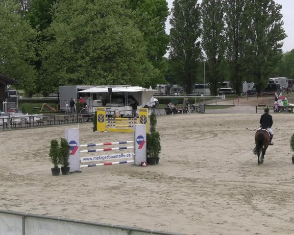 Reitturnier Hamm- Rhynern 2023