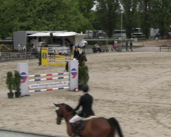 Reitturnier Hamm- Rhynern 2023