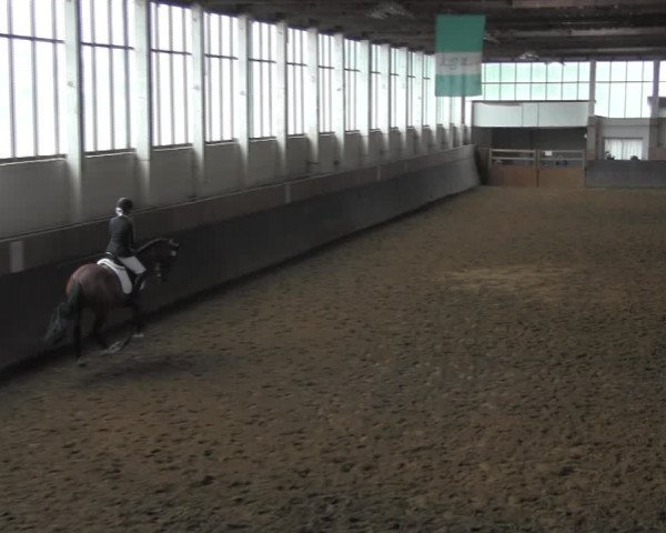 Reitturnier Kakerbeck 2023