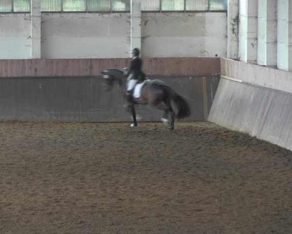 Reitturnier Kakerbeck 2023