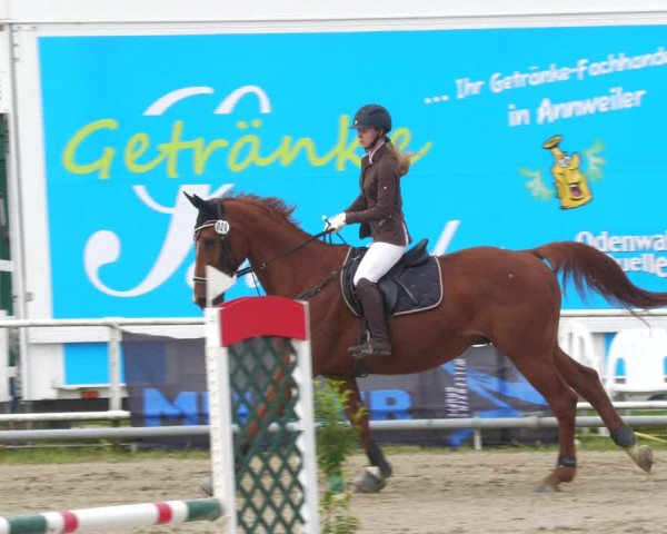 Reitturnier Billigheim 2023