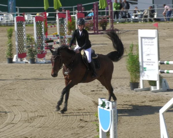 Reitturnier Billigheim 2023