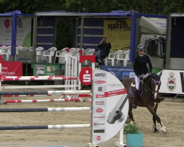 Reitturnier Hellefeld 2023