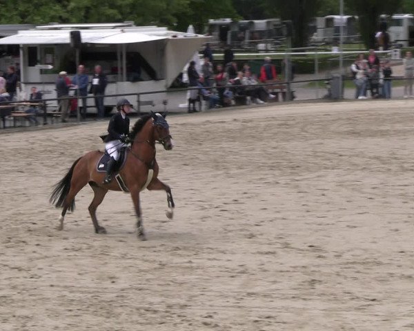 Reitturnier Hamm- Rhynern 2023