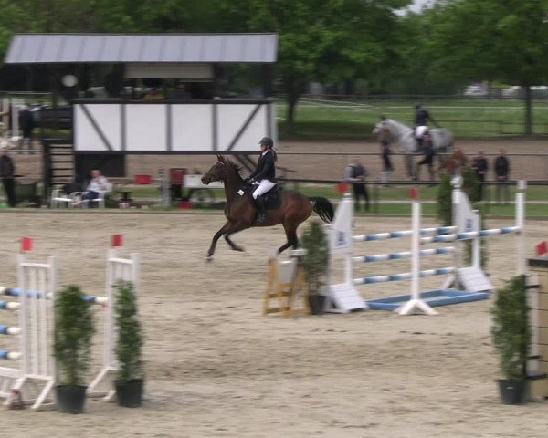 Reitturnier Hamm- Rhynern 2023