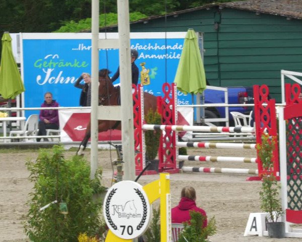 Reitturnier Billigheim 2023