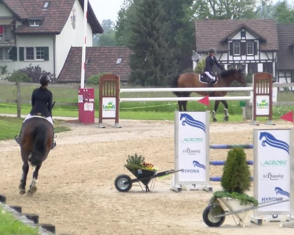 Reitturnier Wädenswil 2023