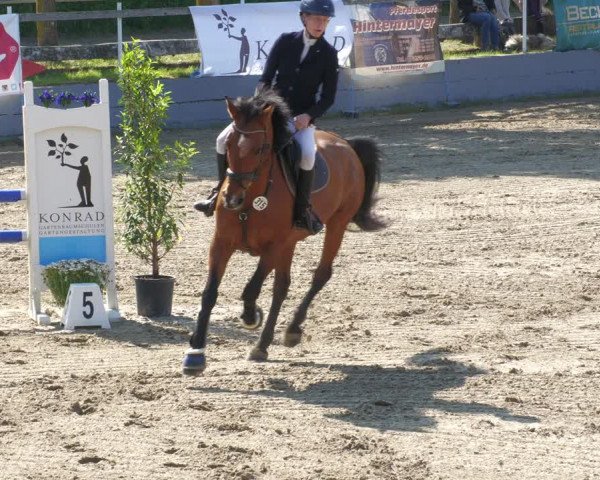 Reitturnier Billigheim 2023