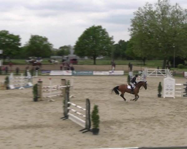 Reitturnier Hamm- Rhynern 2023