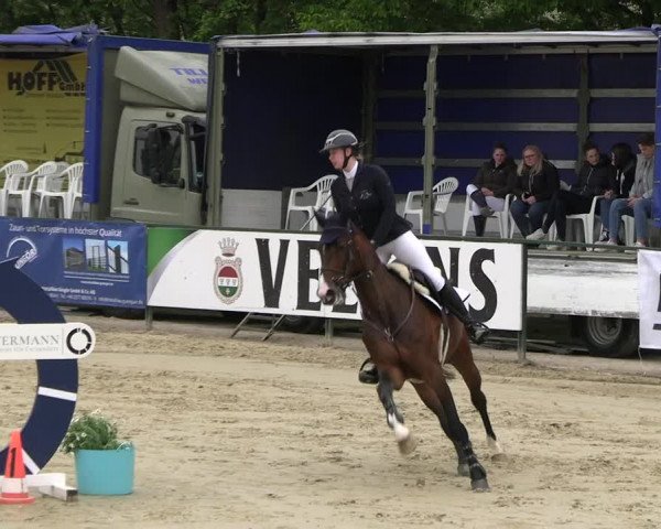 Reitturnier Hellefeld 2023