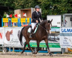 jumper Tabasco CH (Swiss Warmblood, 2017, from Tresor)