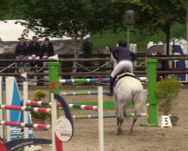 Reitturnier Kirchhellen 2023