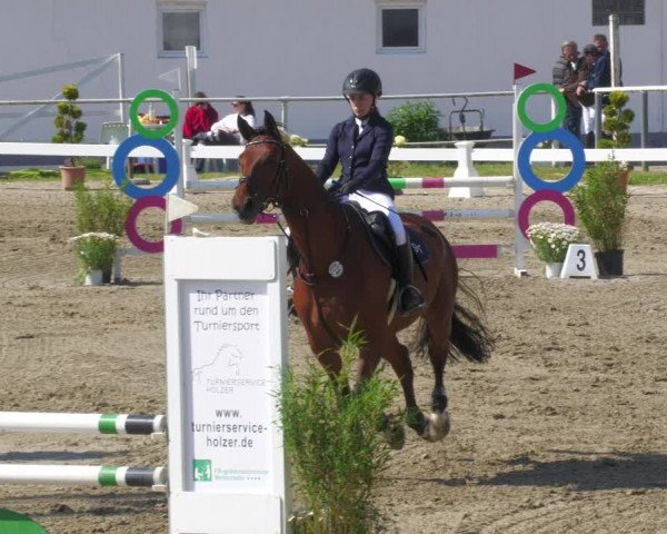 Reitturnier Billigheim 2023