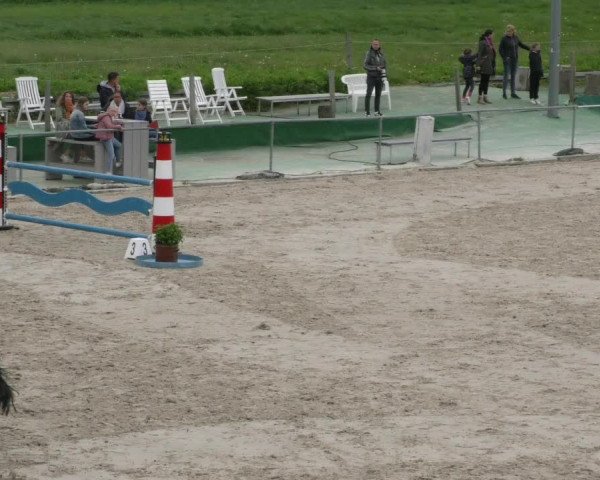 Reitturnier Harsum-Hüddessum 2023