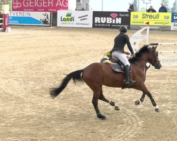 Reitturnier Wädenswil 2023