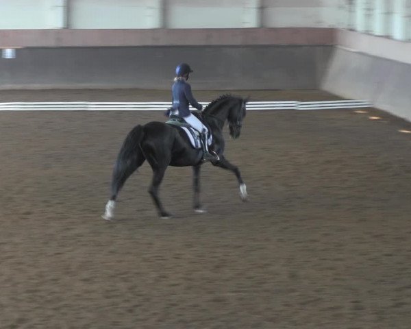 Reitturnier Kakerbeck 2023