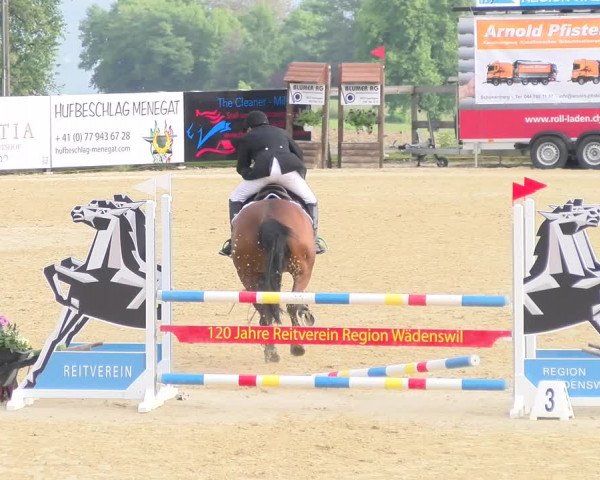 Reitturnier Wädenswil 2023