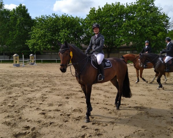 jumper Del Piero FF (Mecklenburg, 2018, from D'Olympic)