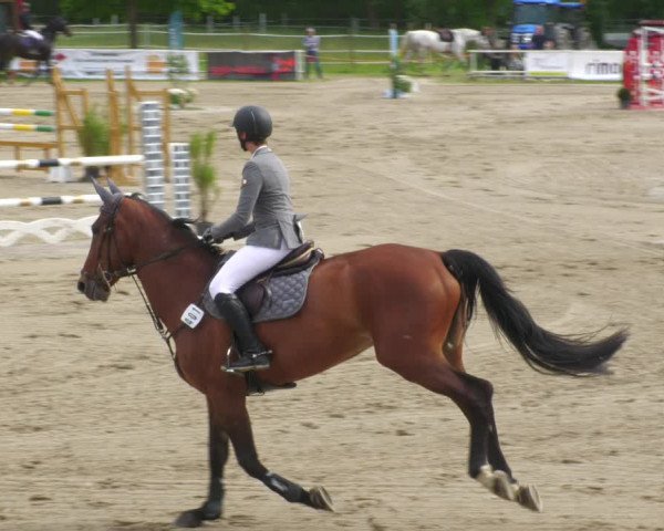 Reitturnier Billigheim 2023