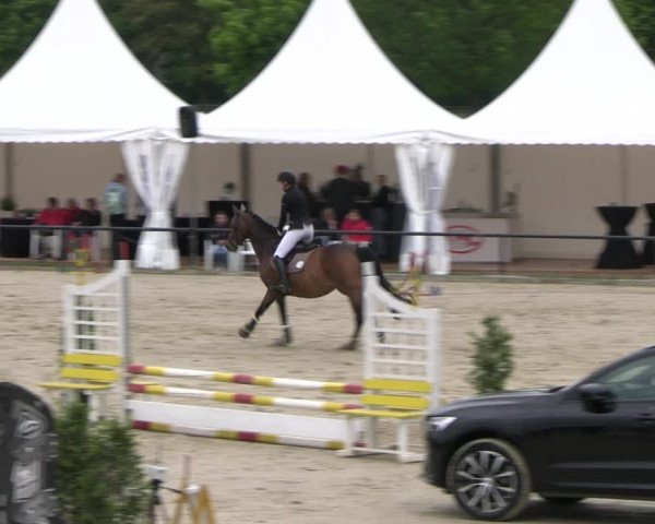 Reitturnier Hamm- Rhynern 2023