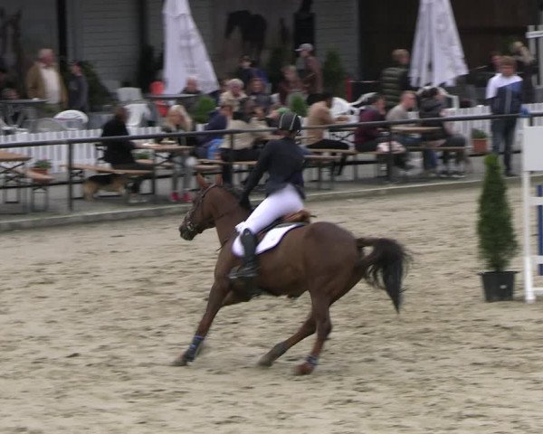 Reitturnier Hamm- Rhynern 2023