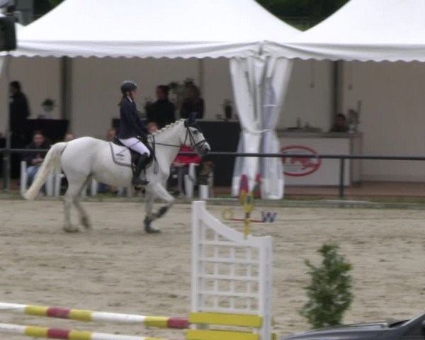 Reitturnier Hamm- Rhynern 2023