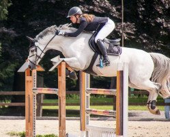jumper Corlys (Westphalian, 2006, from Cornet Obolensky)