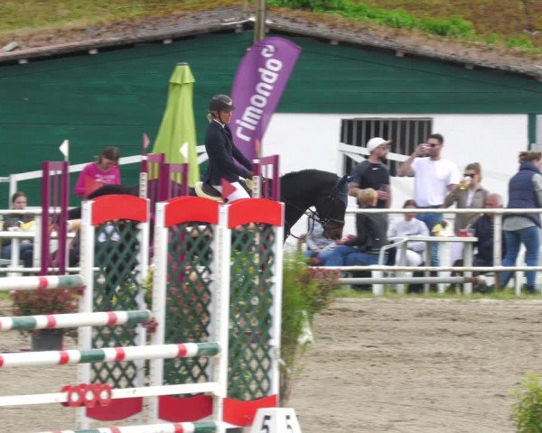 Reitturnier Billigheim 2023