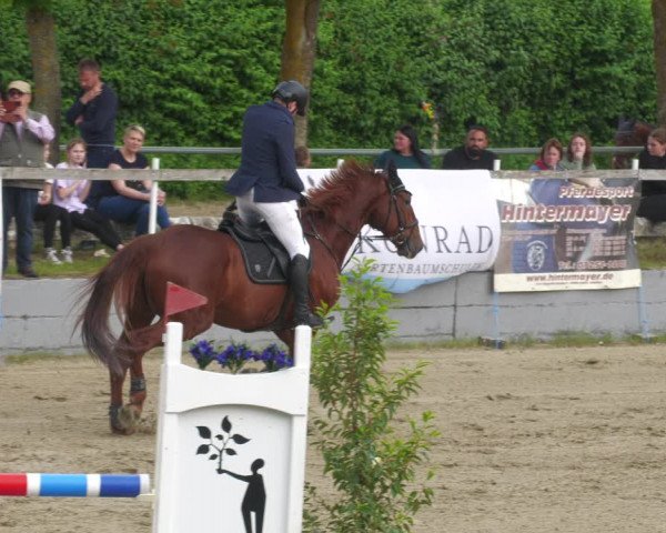 Reitturnier Billigheim 2023