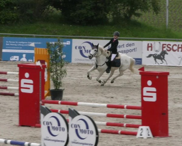 Reitturnier Harsum-Hüddessum 2023