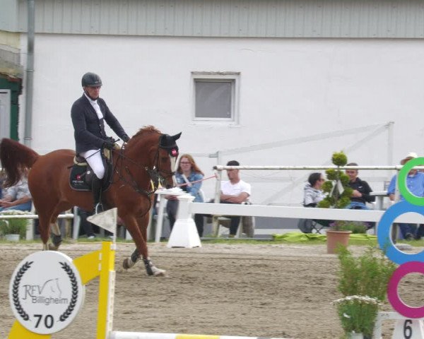 Reitturnier Billigheim 2023