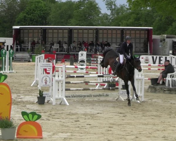 Reitturnier Hellefeld 2023