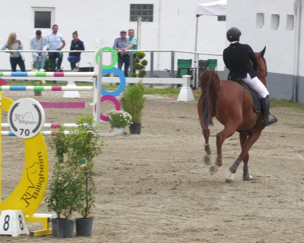 Reitturnier Billigheim 2023