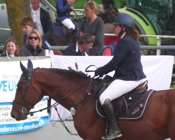Reitturnier Billigheim 2023