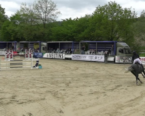 Reitturnier Hellefeld 2023