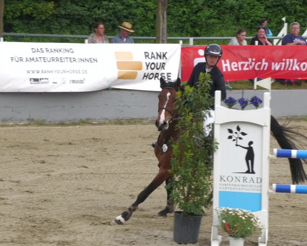 Reitturnier Billigheim 2023
