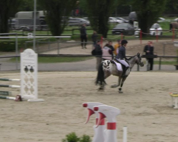 Reitturnier Hamm- Rhynern 2023