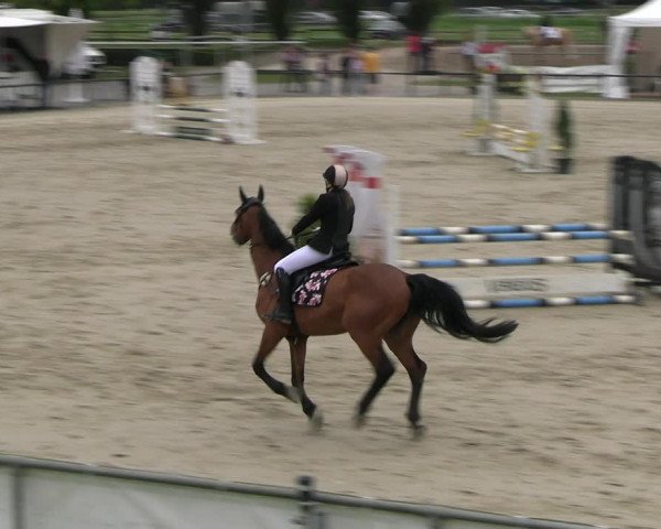 Reitturnier Hamm- Rhynern 2023