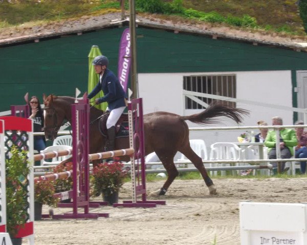 Reitturnier Billigheim 2023