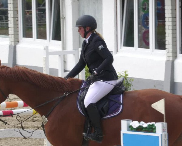 Reitturnier Billigheim 2023