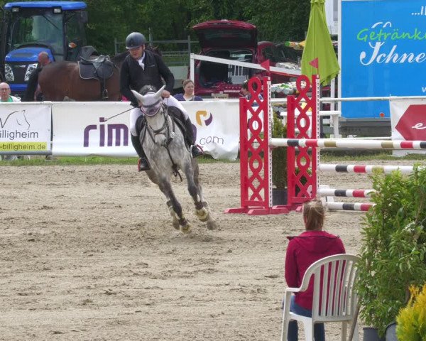 Reitturnier Billigheim 2023