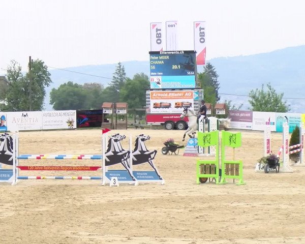 Reitturnier Wädenswil 2023