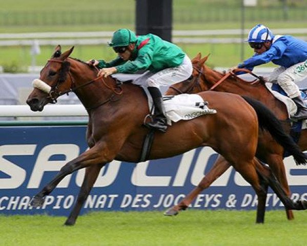 broodmare Zarshana xx (Thoroughbred, 2011, from Sea The Stars xx)