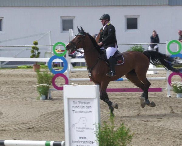 Reitturnier Billigheim 2023