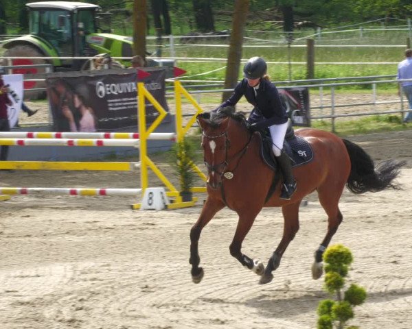 Reitturnier Billigheim 2023