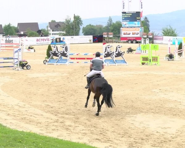 Reitturnier Wädenswil 2023