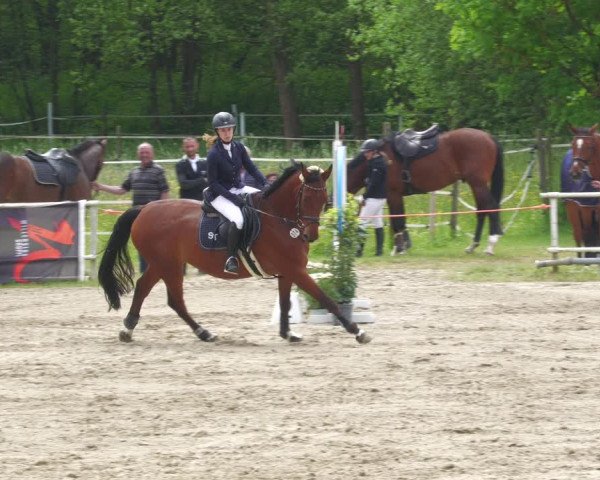 Reitturnier Billigheim 2023