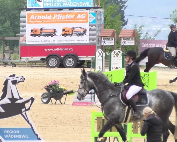 Reitturnier Wädenswil 2023