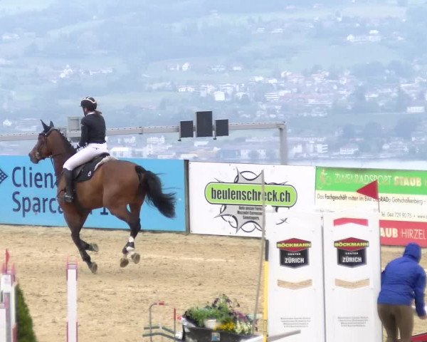 Reitturnier Wädenswil 2023