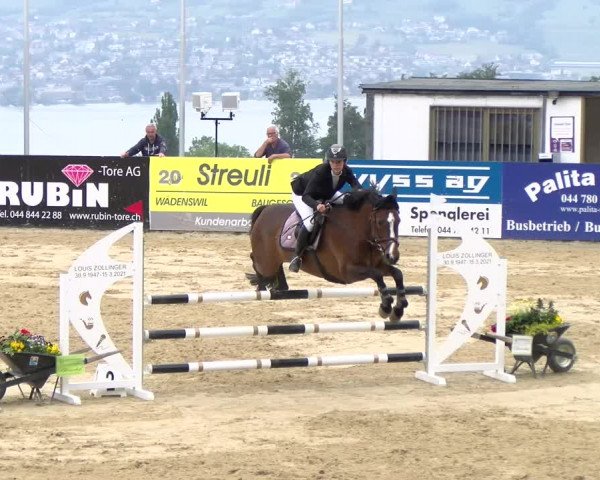 Reitturnier Wädenswil 2023